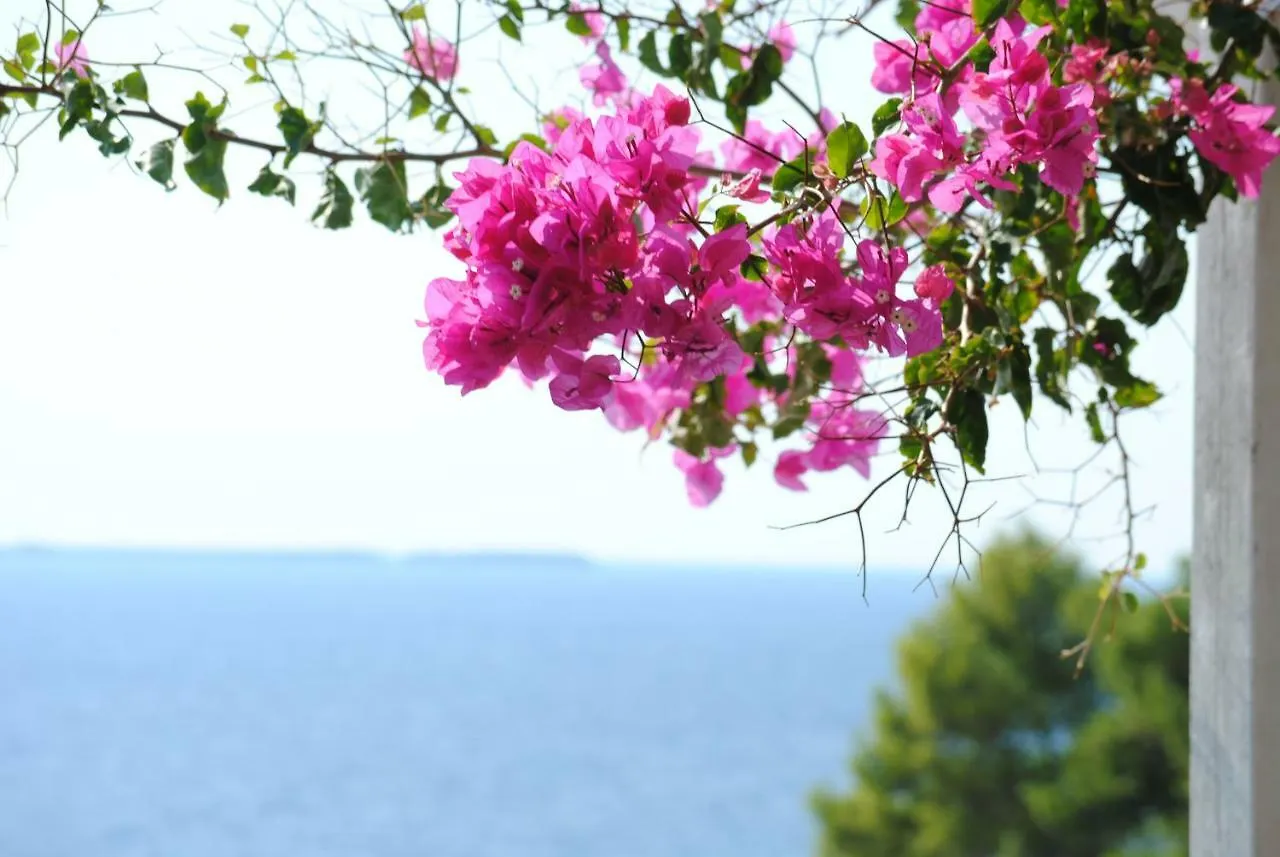 Stavento Apartments Kefalonia Island
