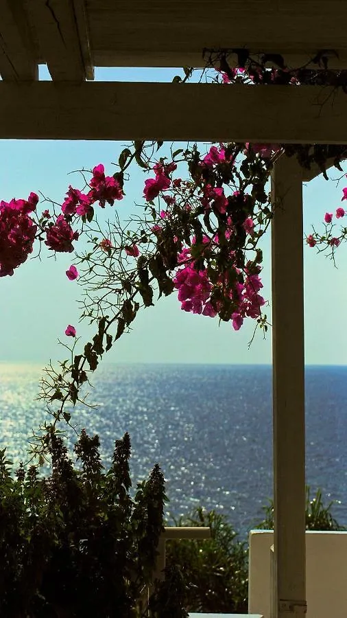 Stavento Apartments Kefalonia Island Greece